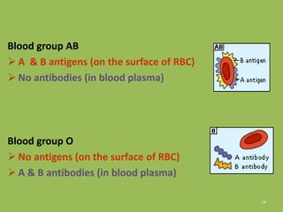 76
Blood group AB
 A & B antigens (on the surface of RBC)
 No antibodies (in blood plasma)
Blood group O
 No antigens (on the surface of RBC)
 A & B antibodies (in blood plasma)
 
