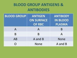 BLOOD GROUP ANTIGENS &
ANTIBODIES
BLOOD GROUP ANTIGEN
ON SURFACE
OF RBC
ANTIBODY
IN BLOOD
PLASMA
A A B
B B A
AB A and B None
O None A and B
 