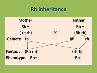 Rh inheritance
Mother Father
Rh – Rh +
( rh rh) X (Rh rh)
Gamete rh Rh rh
Foetus : (Rh rh) (rhrh)
Phenotype Rh+ Rh-
 