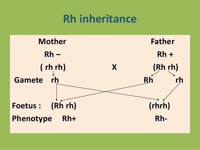 Rh Inheritance Chart