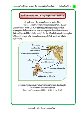 ชุดการสอนวิชาชีววิทยา ว32241 เรื่อง ระบบต่อมไร้ท่อกับฮอร์โมน ชั้นมัธยมศึกษาปีที่ 5 
ชุดการสอนที่ 5 เรื่อง ต่อมหมวกไตกับฮอร์โมน 
24 
ฮอร์โมนนอร์เอพิเนฟริน ( norepinephrine hormone ) 
อวัยวะเป้าหมาย : ตับ หลอดเลือดแดงขนาดเล็ก หัวใจ 
หน้าที่ : กระตุ้นให้เส้นเลือดมการบีบตัว ผลอื่นคล้ายๆ adrenalin แต่มีฤทธิ์น้อยกว่า เปลี่ยน ไกลโคเจนในตับให้เป็นกลูโคสเข้าสู่กระแสเลือดทาให้ 
มีระดับกลูโคสเพิ่มขึ้นในกระแสเลือด การเผาผลาญอาหารเพิ่มมากขึ้น ทาให้ร่างกาย 
มีพลังมากขึ้นกระตุ้นให้หัวใจบีบตัวแรงและเร็วขึ้น ทาให้เลือดลาเลียงออกซิเจนและกลูโคส 
ไปให้เซลล์ร่างกายได้มากขึ้น หลอดเลือดแดงขนาดเล็กที่บริเวณอวัยวะภายในต่างๆ 
หดหรือบีบตัว 
ภาพแสดงการกระตุ้นเซลล์ประสาทซิมพาเทติกทาให้มีการหลั่งฮอร์โมนเอพิเนฟริน และนอร์เอพิเนฟรินจากต่อมหมวกไตส่วนใน 
ที่มา : http://www3.ipst.ac.th353 × 346 (30 มีนาคม 2555) 
 