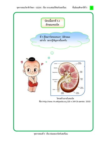 ชุดการสอนวิชาชีววิทยา ว32241 เรื่อง ระบบต่อมไร้ท่อกับฮอร์โมน ชั้นมัธยมศึกษาปีที่ 5 
ชุดการสอนที่ 5 เรื่อง ต่อมหมวกไตกับฮอร์โมน 
7 
บัตรเนื้อหาที่ 5.1 
ลักษณะของไต 
โครงสร้างภายในของไต 
ที่มา:http://www. th.wikipedia.org 220 × 249 (8 เมษายน 2555) 
พี่ ๆ รู้ไหมว่าไตของคนเรา มีลักษณะ อย่างไร อยากรู้เชิญทางนี้นะครับ  