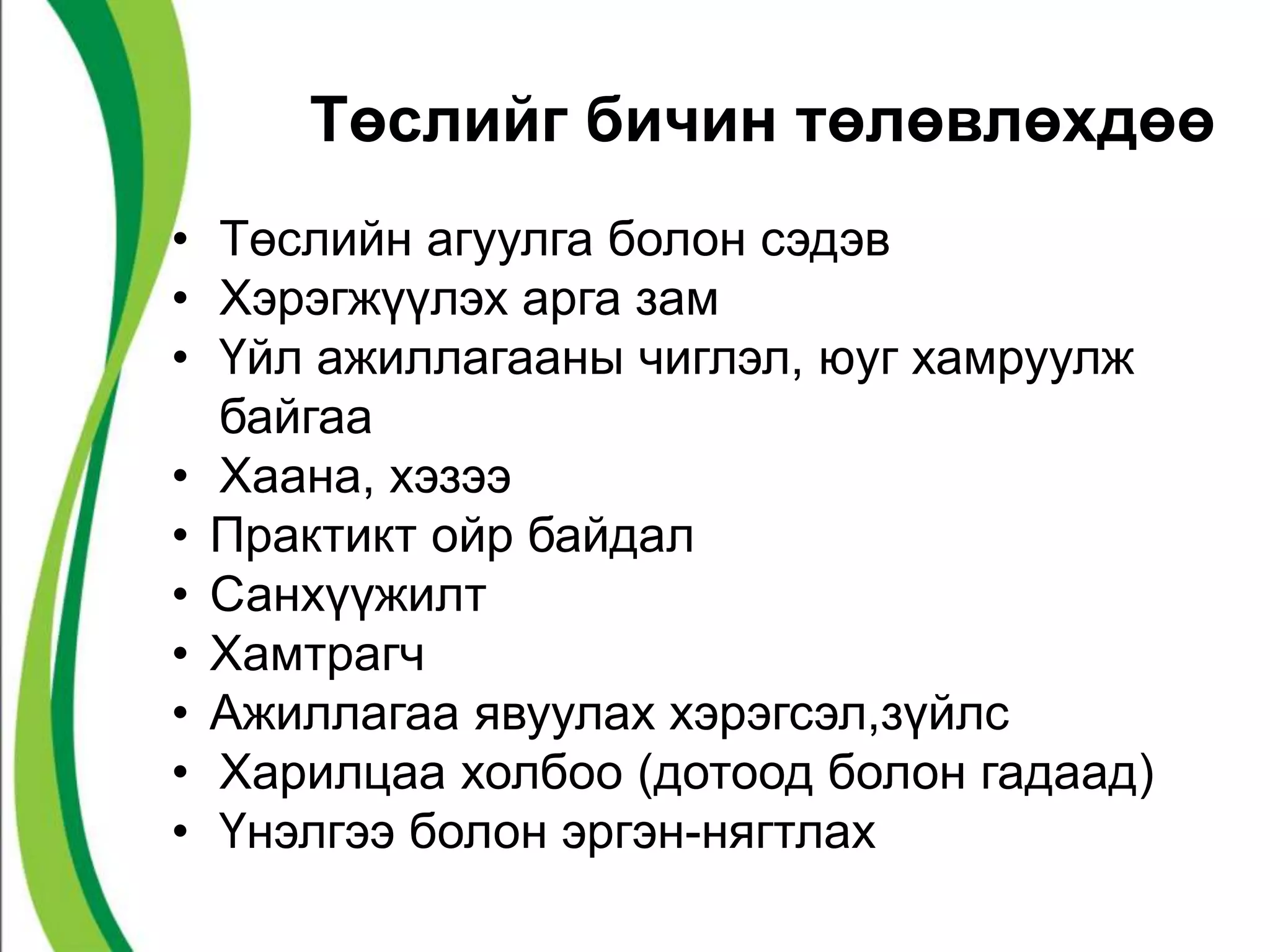 Төслийг бичин төлөвлөхдөө 
• Төслийн агуулга болон сэдэв 
• Хэрэгжүүлэх арга зам 
• Үйл ажиллагааны чиглэл, юуг хамруулж 
байгаа 
• Хаана, хэзээ 
• Практикт ойр байдал 
• Санхүүжилт 
• Хамтрагч 
• Ажиллагаа явуулах хэрэгсэл,зүйлс 
• Харилцаа холбоо (дотоод болон гадаад) 
• Үнэлгээ болон эргэн-нягтлах 
 