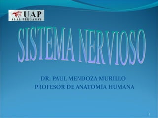 DR. PAUL MENDOZA MURILLO 
PROFESOR DE ANATOMÍA HUMANA 
1 
 