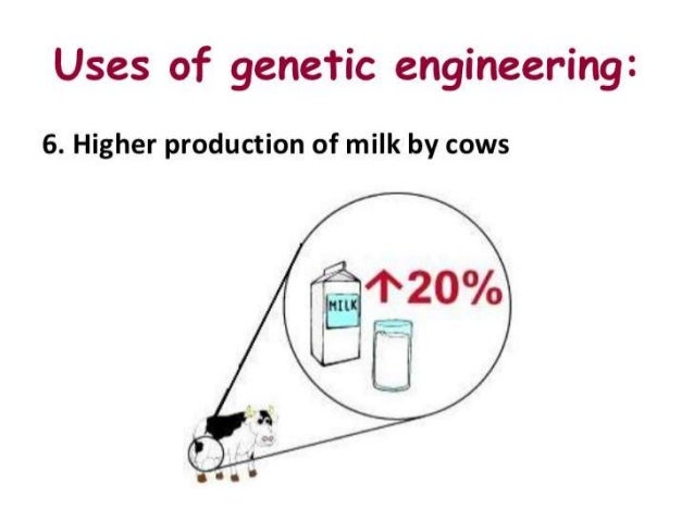 the wide possibilities and potential of genetic engineering Genetic engineering (3500 words) biology over genetic engineering was wide-spread owing to its potential to give humanity unprecedented power over life. the wide possibilities and potential of genetic engineering Genetic engineering (3500 words) biology over genetic engineering was wide-spread owing to its potential to give humanity unprecedented power over life.