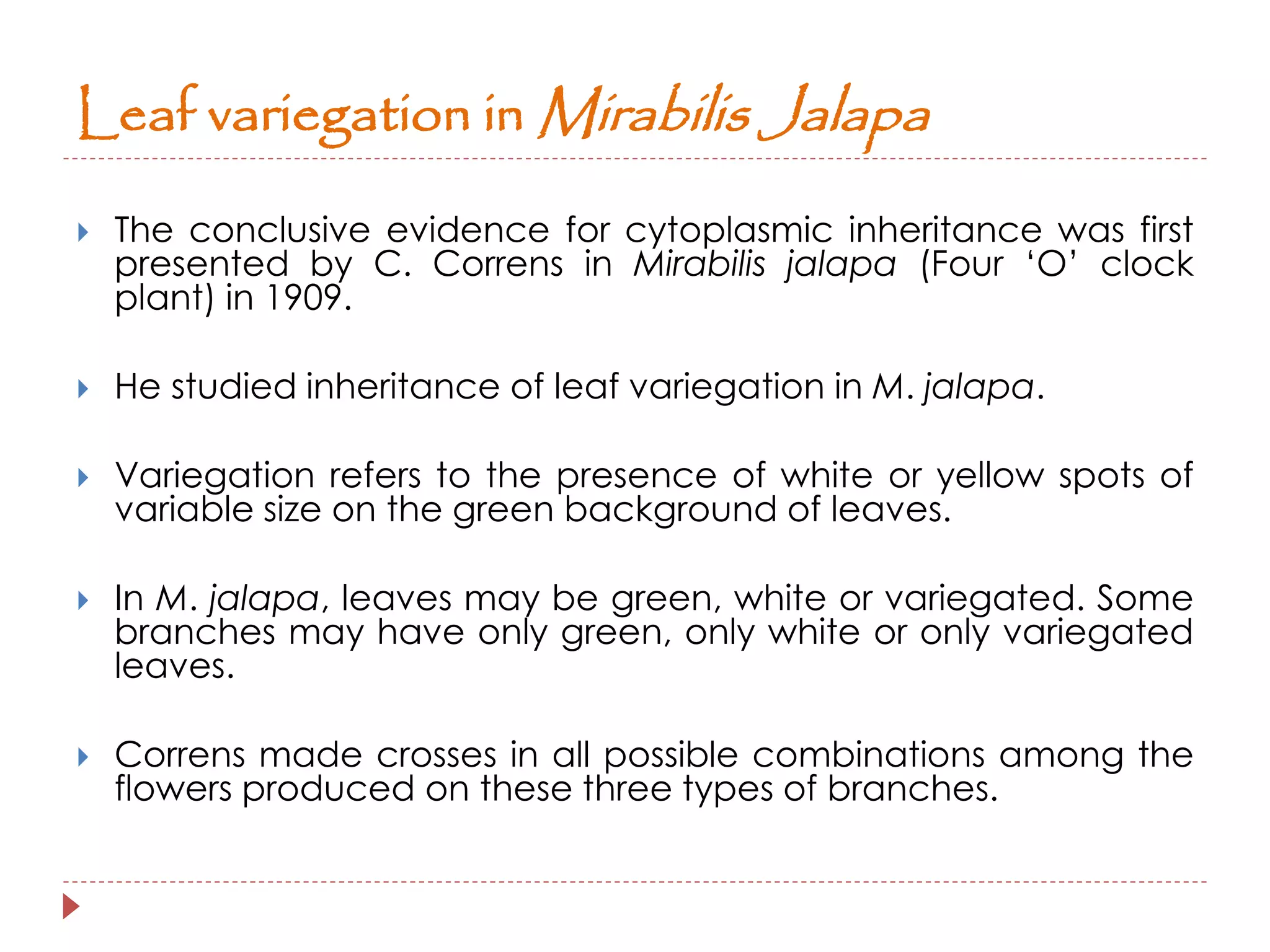 Leaf variegation in Mirabilis Jalapa 
 The conclusive evidence for cytoplasmic inheritance was first 
presented by C. Correns in Mirabilis jalapa (Four ‘O’ clock 
plant) in 1909. 
 He studied inheritance of leaf variegation in M. jalapa. 
 Variegation refers to the presence of white or yellow spots of 
variable size on the green background of leaves. 
 In M. jalapa, leaves may be green, white or variegated. Some 
branches may have only green, only white or only variegated 
leaves. 
 Correns made crosses in all possible combinations among the 
flowers produced on these three types of branches. 
 