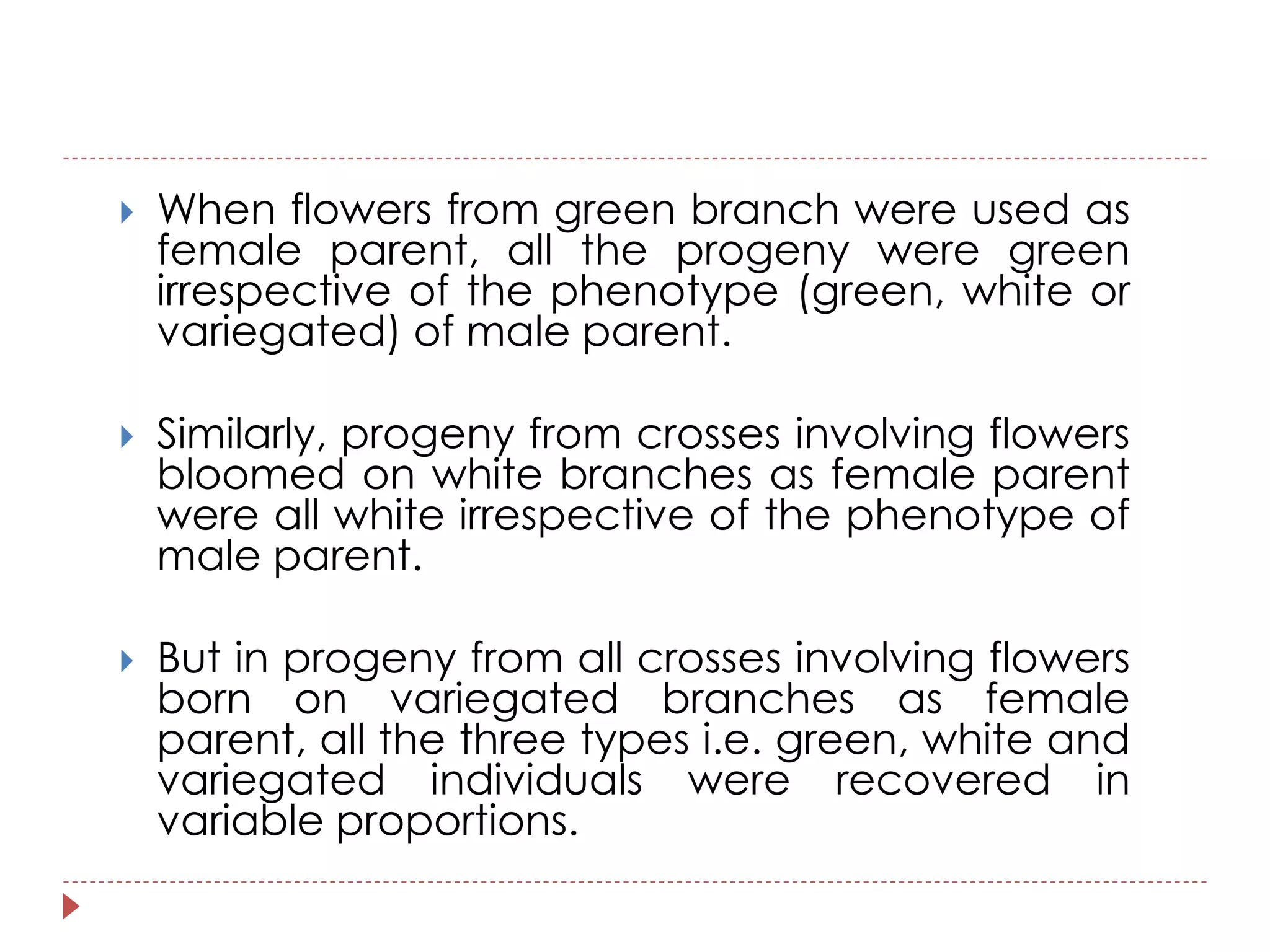  When flowers from green branch were used as 
female parent, all the progeny were green 
irrespective of the phenotype (green, white or 
variegated) of male parent. 
 Similarly, progeny from crosses involving flowers 
bloomed on white branches as female parent 
were all white irrespective of the phenotype of 
male parent. 
 But in progeny from all crosses involving flowers 
born on variegated branches as female 
parent, all the three types i.e. green, white and 
variegated individuals were recovered in 
variable proportions. 
 