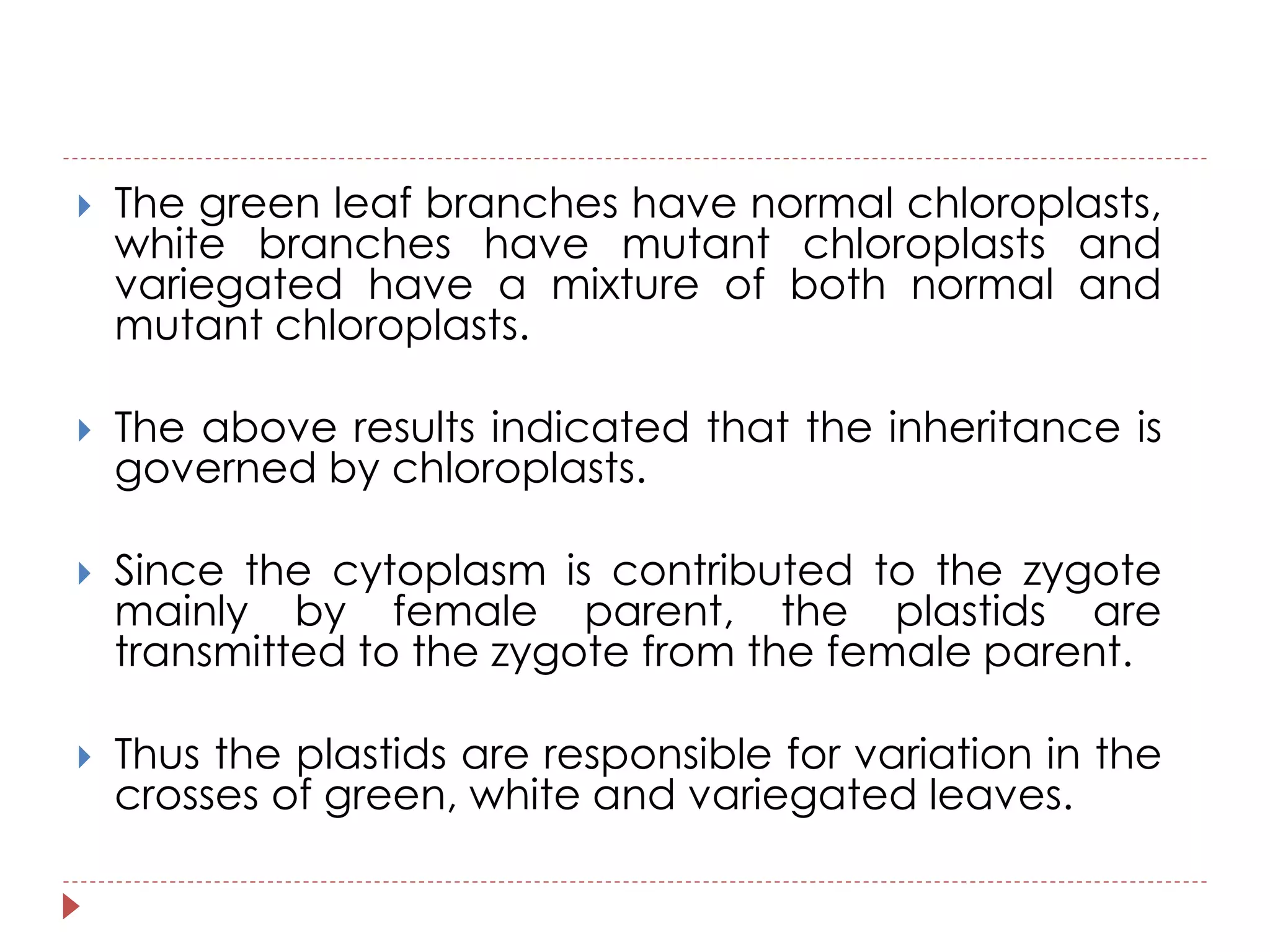  The green leaf branches have normal chloroplasts, 
white branches have mutant chloroplasts and 
variegated have a mixture of both normal and 
mutant chloroplasts. 
 The above results indicated that the inheritance is 
governed by chloroplasts. 
 Since the cytoplasm is contributed to the zygote 
mainly by female parent, the plastids are 
transmitted to the zygote from the female parent. 
 Thus the plastids are responsible for variation in the 
crosses of green, white and variegated leaves. 
 