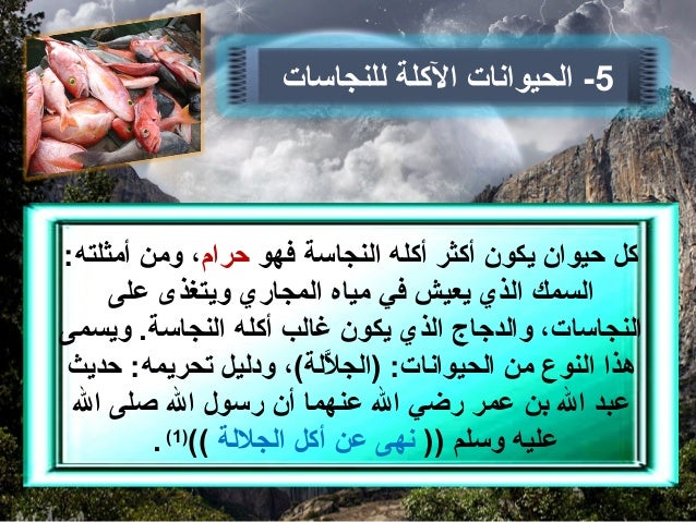 5 تابع الأطعمة المحرمة