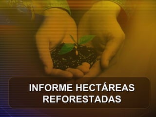 INFORME HECTÁREASINFORME HECTÁREAS
REFORESTADASREFORESTADAS
 