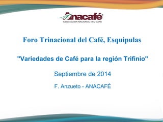 Foro Trinacional del Café, Esquipulas 
"Variedades de Café para la región Trifinio" 
Septiembre de 2014 
F. Anzueto - ANACAFÉ 
 