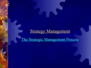 Strategy Management 
The Strategic Management Process 
 