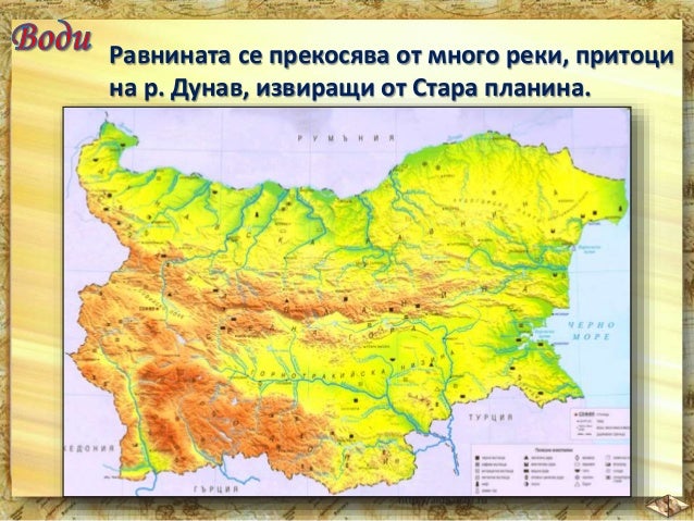 5. Дунавска равнина, 4 клас, Булвест