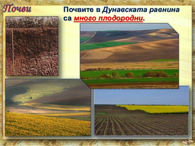 5. Дунавска равнина, 4 клас, Булвест