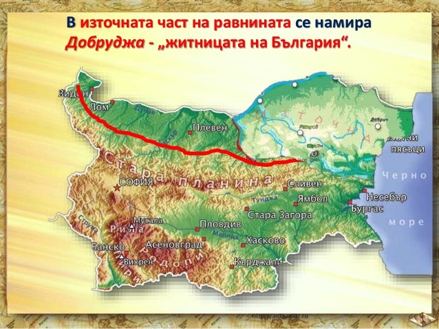 5. Дунавска равнина, 4 клас, Булвест