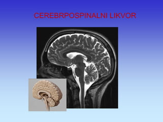 CEREBRPOSPINALNI LIKVOR  