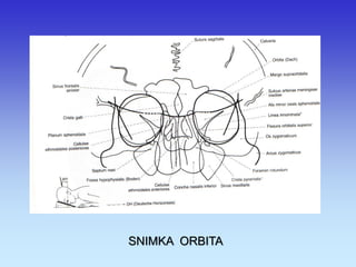 SNIMKA ORBITA 
 