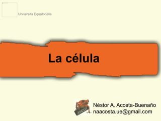 La célula 
Néstor A. Acosta-Buenaño 
naacosta.ue@gmail.com 
Universita Equatorialis 
 