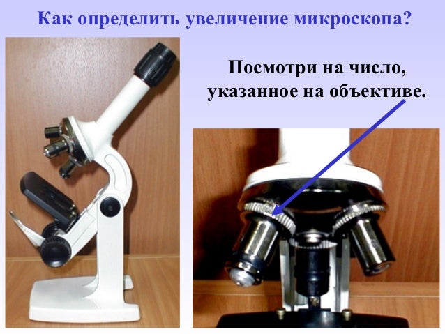 5 урок микроскоп