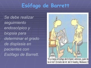 Esófago de Barrett 
Se debe realizar 
seguimiento 
endoscópico y 
biopsia para 
determinar el grado 
de displasia en 
pacientes con 
Esófago de Barrett. 
 