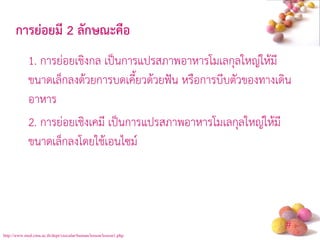 # 
1. การย่อยเชิงกล เป็นการแปรสภาพอาหารโมเลกุลใหญ่ให้มี ขนาดเล็กลงด้วยการบดเคี ยวด้วยฟัน หรือการบีบตัวของทางเดิน อาหาร 
2. การย่อยเชิงเคมี เป็นการแปรสภาพอาหารโมเลกุลใหญ่ให้มี ขนาดเล็กลงโดยใช้เอนไซม์ 
การย่อยมี 2 ลักษณะคือ 
http://www.med.cmu.ac.th/dept/vascular/human/lesson/lesson1.php  