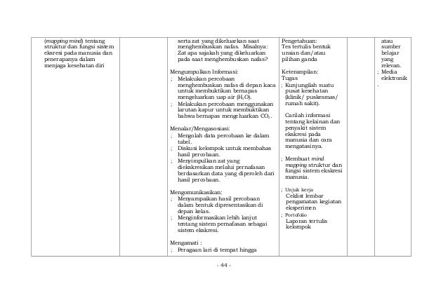 Mapping Mind Tentang Struktur Dan Fungsi Sistem Ekskresi