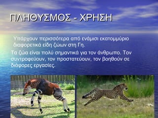 ΠΠΛΛΗΗΘΘΥΥΣΣΜΜΟΟΣΣ -- ΧΧΡΡΗΗΣΣΗΗ 
Υπάρχουν περισσότερα από ενάμισι εκατομμύριο 
διαφορετικά είδη ζώων στη Γη. 
Τα ζώα είναι πολύ σημαντικά για τον άνθρωπο. Τον 
συντροφεύουν, τον προστατεύουν, τον βοηθούν σε 
διάφορες εργασίες. 
 
