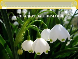 40 
СПАСИБО ЗА ВНИМАНИЕ! 
