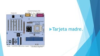 Tarjeta madre.
 