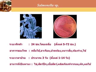 LOGO
ระยะฟักตัว : 24 ชม.โดยเฉลี่ย (ตั้งแต่ 5-72 ชม.)
อาการของโรค : คลื่นไส้,อาเจียน,ปวดท้อง,หนาวสั่น,ท้องร่วง,ไข้
ระยะเวลาป่ วย : ประมาณ 3 วัน (ตั้งแต่ 1-14 วัน)
อาหารที่เป็ นพาหะ : ไข่,สัตว์ปีก,เนื้อสัตว์,ผลิตภัณฑ์จากนม,ผัก,ผลไม้
Salmonella sp.
 