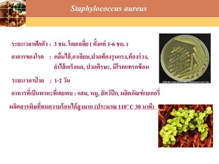 LOGO
Staphylococcus aureus
ระยะเวลาฟักตัว : 3 ชม. โดยเฉลี่ย ( ตั้งแต่ 1-6 ชม. )
อาการของโรค : คลื่นไส้,อาเจียน,ปวดท้องรุนแรง,ท้องร่วง,
ลาไส้เกร็งหด, ปวดศีรษะ, มีโรคแทรกซ้อน
ระยะเวลาป่ วย : 1-2 วัน
อาหารที่เป็นพาหะที่เคยพบ : แฮม, หมู, สัตว์ปีก, ผลิตภัณฑ์เบเกอรี่
ผลิตสารพิษที่ทนความร้อนได้สูงมาก (ประมาณ 110๐ C 30 นาที)
 