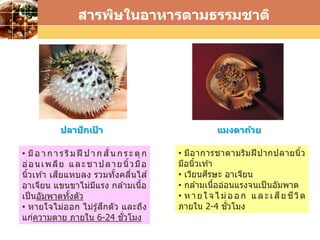 LOGO
• มีอาการชาตามริมฝีปากปลายนิ้ว
มือนิ้วเท ้า
• เวียนศีรษะ อาเจียน
• กล ้ามเนื้ออ่อนแรงจนเป็นอัมพาต
• หายใ จไม่ออก และเสียชีวิต
ภายใน 2-4 ชั่วโมง
• มีอ า ก า ร ริม ฝี ป า ก สั่น ก ร ะ ตุก
อ่อนเพลีย และชาปลายนิ้วมือ
นิ้วเท ้า เสียแหบลง รวมทั้งคลื่นไส ้
อาเจียน แขนขาไม่มีแรง กล ้ามเนื้อ
เป็นอัมพาตทั้งตัว
• หายใจไม่ออก ไม่รู้สึกตัว และถึง
แก่ความตาย ภายใน 6-24 ชั่วโมง
ปลาปักเป้ า แมงดาถ้วย
สารพิษในอาหารตามธรรมชาติ
 