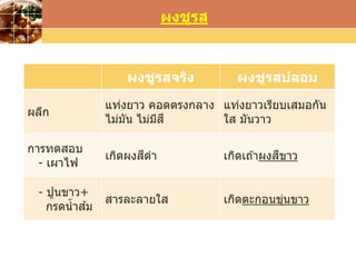 LOGOwww.themegallery.com
ผงชูรส
ผงชูรสจริง ผงชูรสปลอม
ผลึก
แท่งยาว คอดตรงกลาง
ไม่มัน ไม่มีสี
แท่งยาวเรียบเสมอกัน
ใส มันวาว
การทดสอบ
- เผาไฟ
เกิดผงสีดา เกิดเถ ้าผงสีขาว
- ปูนขาว+
กรดน้าส ้ม
สารละลายใส เกิดตะกอนขุ่นขาว
 