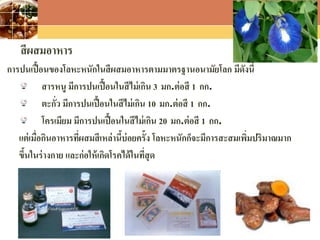 LOGO
สีผสมอาหาร
การปนเปื้อนของโลหะหนักในสีผสมอาหารตามมาตรฐานอนามัยโลก มีดังนี้
สารหนู มีการปนเปื้อนในสีไม่เกิน 3 มก.ต่อสี 1 กก.
ตะกั่ว มีการปนเปื้อนในสีไม่เกิน 10 มก.ต่อสี 1 กก.
โครเมียม มีการปนเปื้อนในสีไม่เกิน 20 มก.ต่อสี 1 กก.
แต่เมื่อกินอาหารที่ผสมสีเหล่านี้บ่อยครั้ง โลหะหนักก็จะมีการสะสมเพิ่มปริมาณมาก
ขึ้นในร่างกาย และก่อให้เกิดโรคได้ในที่สุด
 