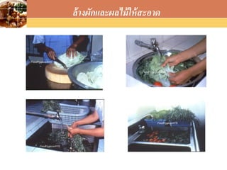 LOGO
ล้างผักและผลไม้ให้สะอาด
 