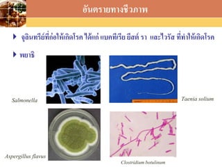 LOGO
 จุลินทรีย์ที่ก่อให้เกิดโรค ได้แก่ แบคทีเรีย ยีสต์ รา และไวรัส ที่ทาให้เกิดโรค
พยาธิ
อันตรายทางชีวภาพ
Salmonella
Aspergillus flavus
Taenia solium
Clostridium botulinum
 