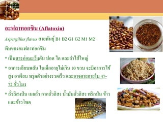 LOGO
อะฟลาทอกซิน (Aflatoxin)
Aspergillus flavus สายพันธุ์ B1 B2 G1 G2 M1 M2
พิษของอะฟลาทอกซิน
* เป็นสารก่อมะเร็งตับ ปอด ไต และลาไส้ใหญ่
* อาการเฉียบพลัน ในเด็กอายุไม่เกิน 10 ขวบ จะมีอาการไข้
สูง อาเจียน ทรุดตัวอย่างรวดเร็ว และอาจตายภายใน 47-
72 ชั่วโมง
* ถั่วลิสงป่น เนยถั่ว กากถั่วลิสง น้ามันถั่วลิสง พริกป่น ข้าว
และข้าวโพด
 