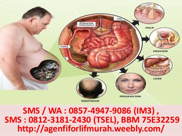 Beli Fiforlif Di Pandeglang 081231812430 Tsel Alamat