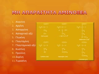 1. Αλανίνη
2. Αργίνη
3. Ασπαργίνη
4. Ασπαρτικό οξύ
5. Γλυκίνη
6. Γλουταμίνη
7. Γλουταμινικό οξύ
8. Κυστίνη
9. Προλίνη
10.Σερίνη
11.Τυροσίνη
 