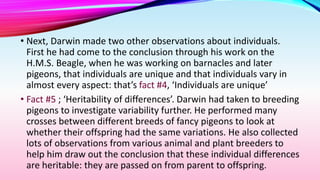 • Next, Darwin made two other observations about individuals.
First he had come to the conclusion through his work on the
H.M.S. Beagle, when he was working on barnacles and later
pigeons, that individuals are unique and that individuals vary in
almost every aspect: that’s fact #4, ‘Individuals are unique’
• Fact #5 ; ‘Heritability of differences’. Darwin had taken to breeding
pigeons to investigate variability further. He performed many
crosses between different breeds of fancy pigeons to look at
whether their offspring had the same variations. He also collected
lots of observations from various animal and plant breeders to
help him draw out the conclusion that these individual differences
are heritable: they are passed on from parent to offspring.
 