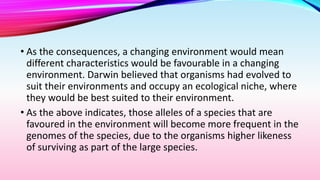 • As the consequences, a changing environment would mean
different characteristics would be favourable in a changing
environment. Darwin believed that organisms had evolved to
suit their environments and occupy an ecological niche, where
they would be best suited to their environment.
• As the above indicates, those alleles of a species that are
favoured in the environment will become more frequent in the
genomes of the species, due to the organisms higher likeness
of surviving as part of the large species.
 