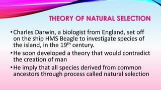 THEORY OF NATURAL SELECTION
•Charles Darwin, a biologist from England, set off
on the ship HMS Beagle to investigate species of
the island, in the 19th century.
•He soon developed a theory that would contradict
the creation of man
•He imply that all species derived from common
ancestors through process called natural selection
 