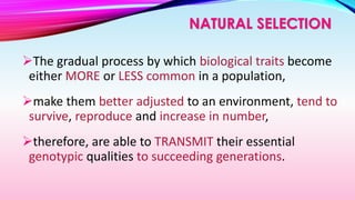 NATURAL SELECTION
The gradual process by which biological traits become
either MORE or LESS common in a population,
make them better adjusted to an environment, tend to
survive, reproduce and increase in number,
therefore, are able to TRANSMIT their essential
genotypic qualities to succeeding generations.
 
