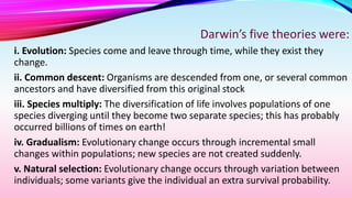 Darwin’s five theories were:
i. Evolution: Species come and leave through time, while they exist they
change.
ii. Common descent: Organisms are descended from one, or several common
ancestors and have diversified from this original stock
iii. Species multiply: The diversification of life involves populations of one
species diverging until they become two separate species; this has probably
occurred billions of times on earth!
iv. Gradualism: Evolutionary change occurs through incremental small
changes within populations; new species are not created suddenly.
v. Natural selection: Evolutionary change occurs through variation between
individuals; some variants give the individual an extra survival probability.
 