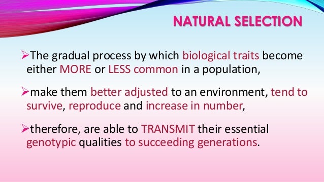IB Biology : 5.2 Natural Selection