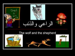 ‫والذئب‬ ‫الراعي‬
The wolf and the shepherd
 