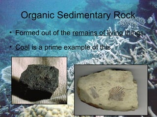 Organic Sedimentary Rock
• Formed out of the remains of living things.
• Coal is a prime example of this.
 