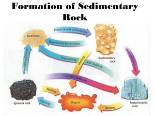 Formation of Sedimentary
Rock
 