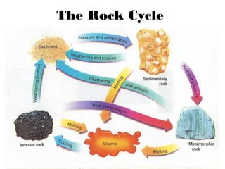 The Rock Cycle
 