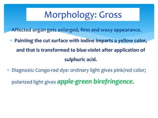 Affected organ gets enlarged, firm and waxy appearance.
 Painting the cut surface with iodine imparts a yellow color,
and that is transformed to blue-violet after application of
sulphuric acid.
 Diagnosis: Congo-red dye: ordinary light gives pink/red color;
polarized light gives apple-green birefringence.
Morphology: Gross
 